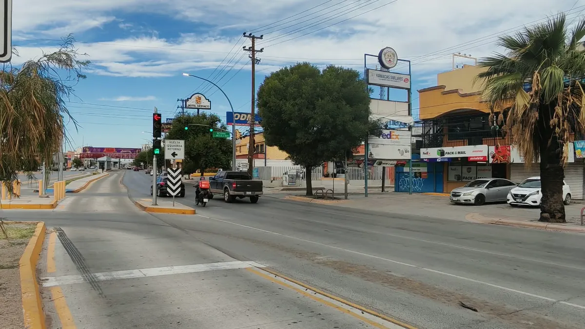 Árboles bloquean semáforos y elevan riesgo de choques en Paseo Triunfo