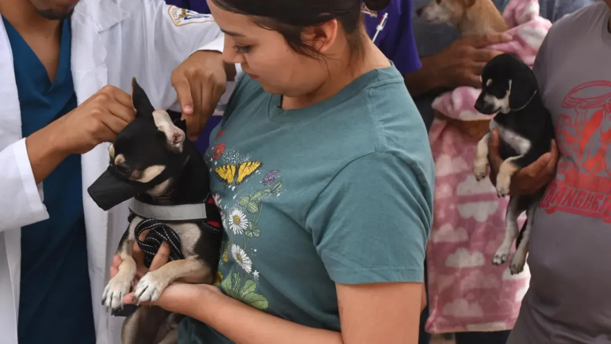 Realizan jornada de vacunación antirrábica en varios puntos de Juárez