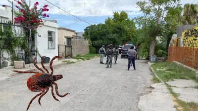 Piden reforzar prevención tras muerte de rescatista infestada de garrapatas