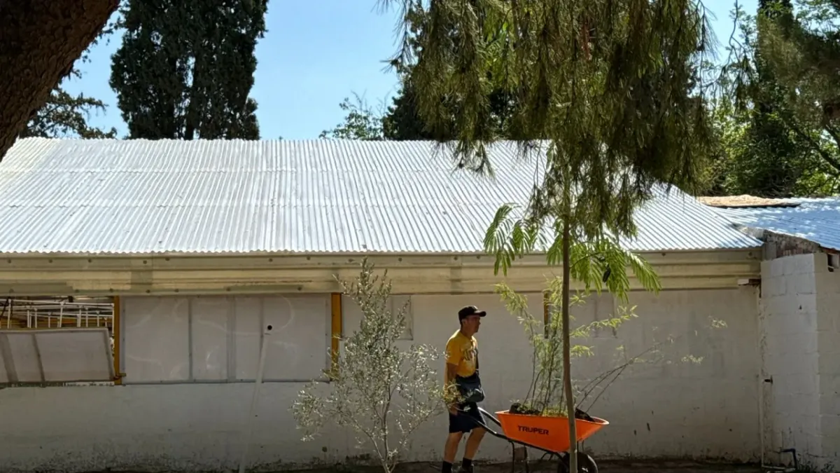 Apoyan voluntarios labores de reforestación en el Vivero Municipal