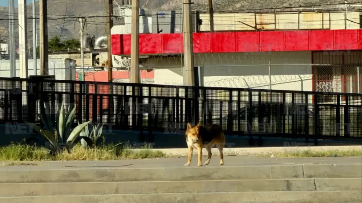 Registra Ciudad Juárez temperaturas superiores a 40 grados esta semana