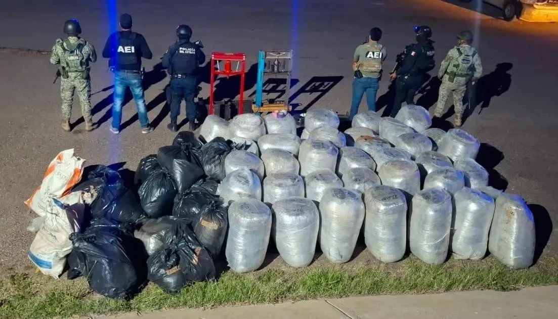 Decomisan casi una tonelada de marihuana en operativo en Parral