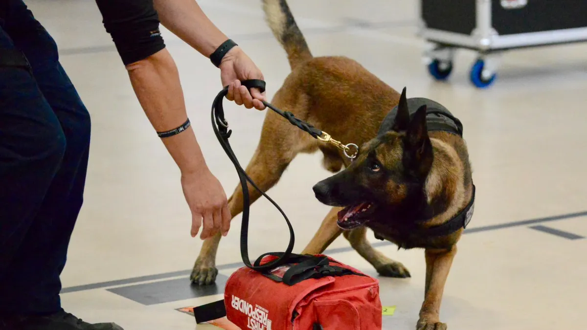 Anuncian competencia canina K9 'El Chuco 2026' en El Paso