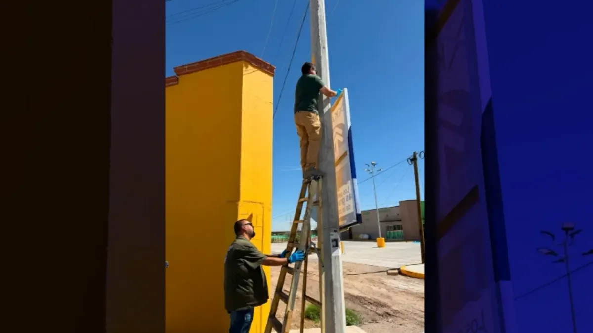 Retira Ecología 200 pendones de publicidad ilegal en postes de Valle de Sol