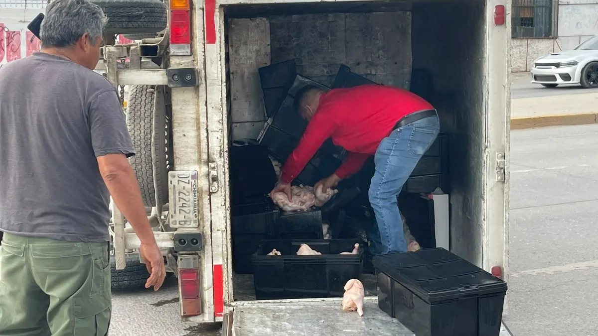 Vuelca camioneta cargada con pollos tras choque en Municipio Libre