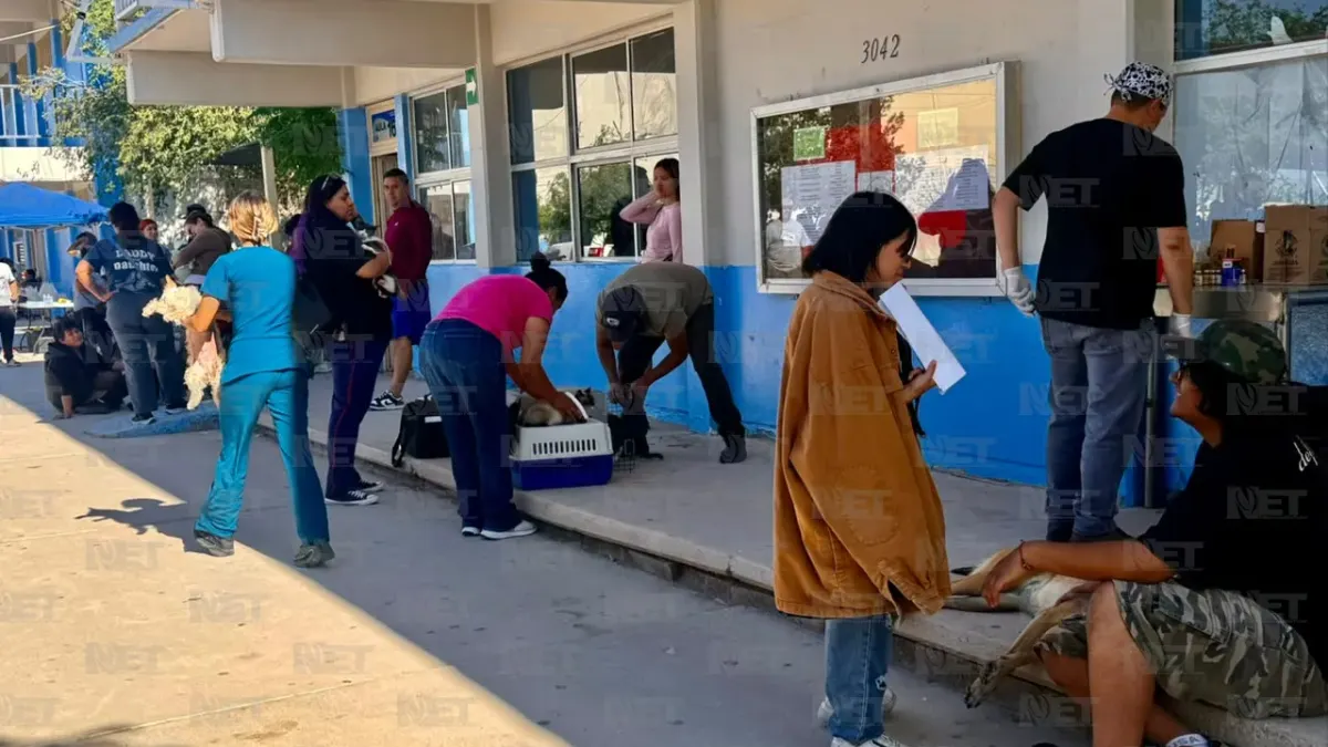Realiza DABA jornada gratuita de esterilización en Praderas del Sol