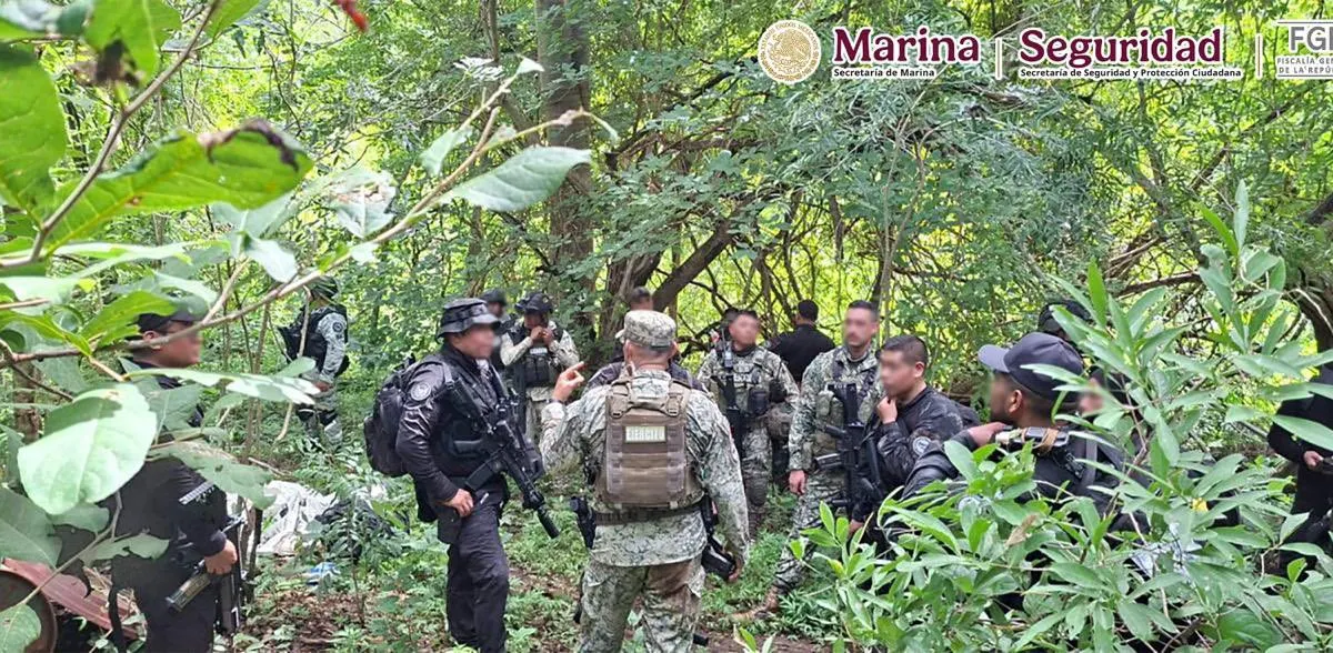 Desmantelan cuatro narcolaboratorios en Michoacán y Guerrero