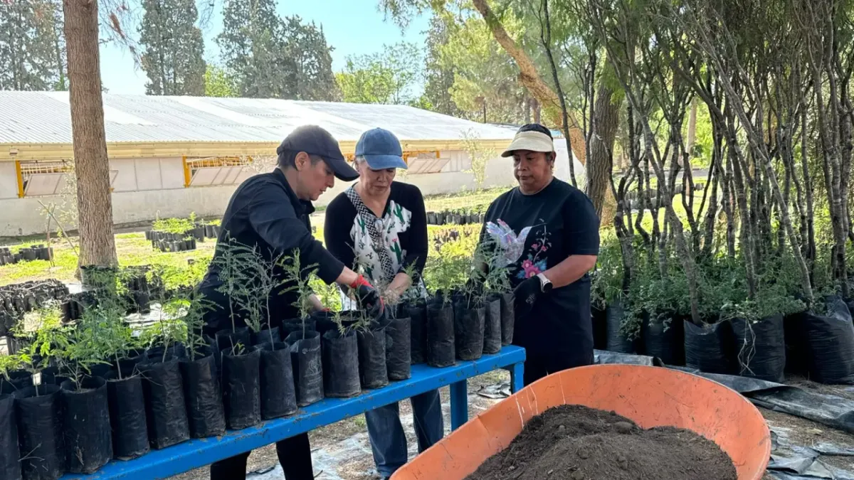 Apoyan voluntarios labores de reforestación en el Vivero Municipal