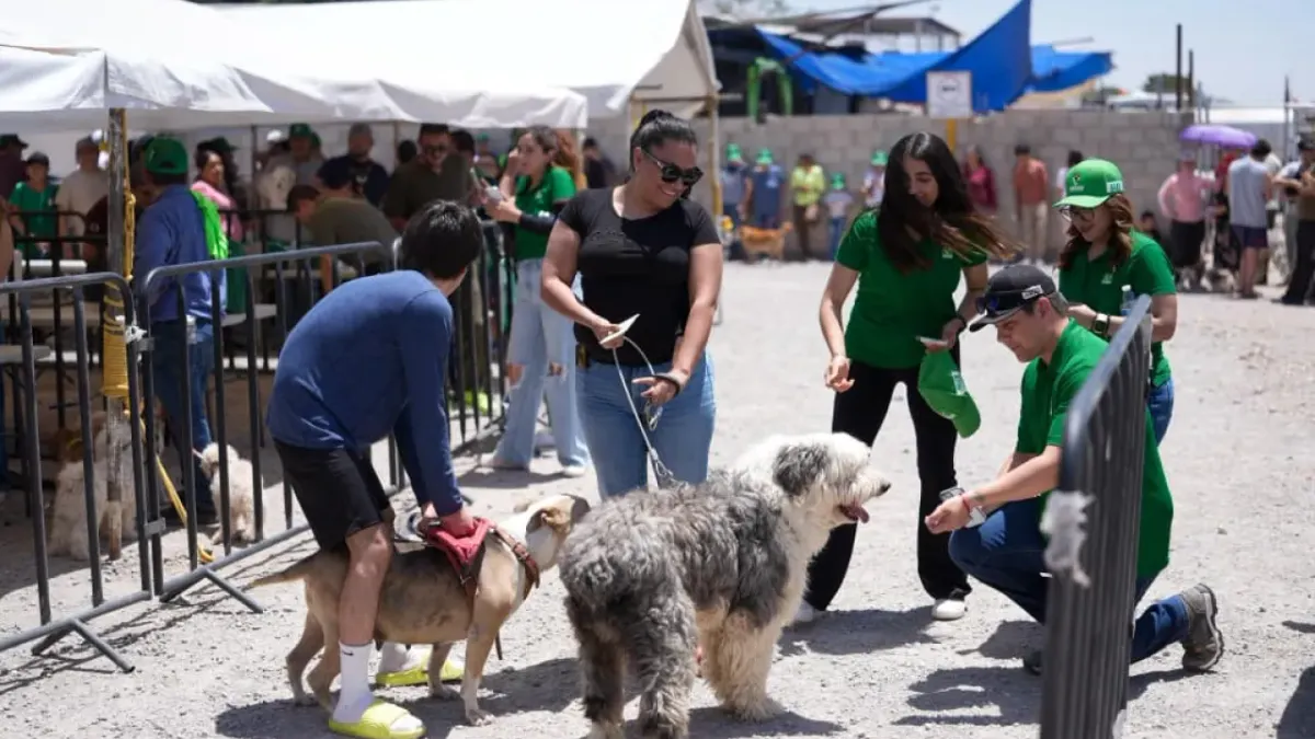 Jornada de salud animal del Partido Verde atiende a más de 600 mascotas