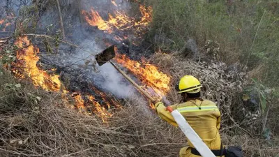 Cae superficie afectada por incendios forestales 94% en Chihuahua