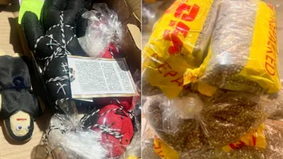 Hallan cargamento de semillas de cannabis dentro de muñecos en aduana de Guadalajara
