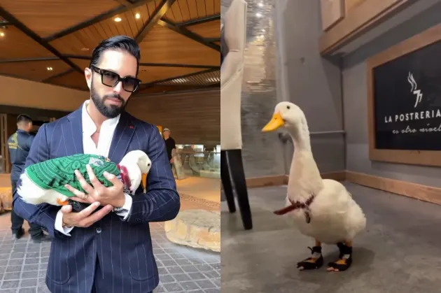¿Lo compró? Aparece Poncho de Nigris con el pato Merlín y causa revuelo