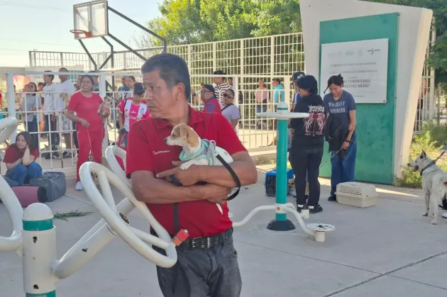Acuden cientos a jornada de esterilización gratuita de mascotas
