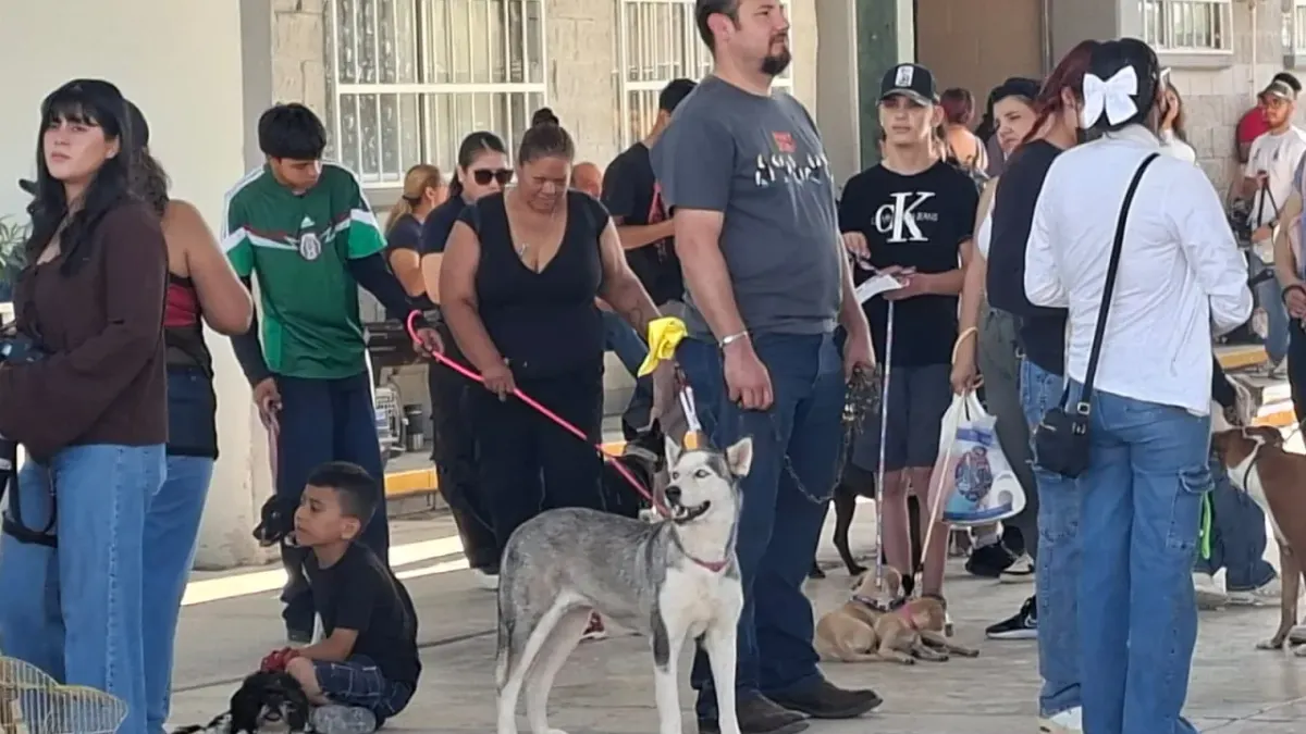 Realizan jornada de esterilización de mascotas en Infonavit Jarudo