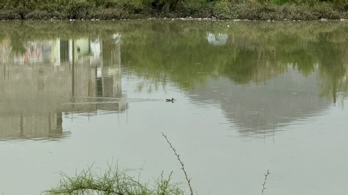 Lluvias elevan nivel de presa y escurre hacia viviendas en colonia Revolución Mexicana