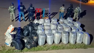 Decomisan casi una tonelada de marihuana en operativo en Parral