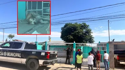 Rescatan a perro atrapado en barandal en colonia Los Alcaldes