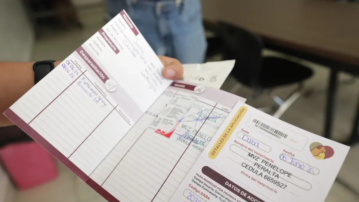 Vuelve Sasha con su dueño tras cumplir protocolo de salud pública