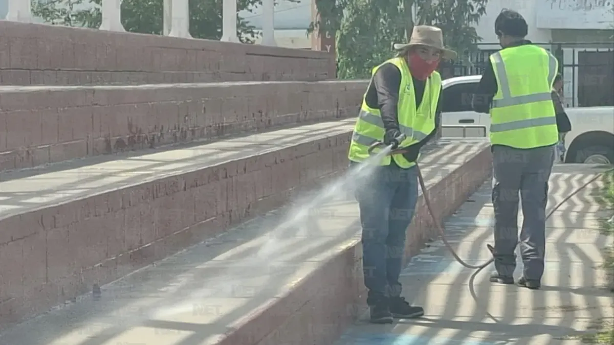 Inician fumigaciones contra garrapatas en 14 colonias de Ciudad Juárez