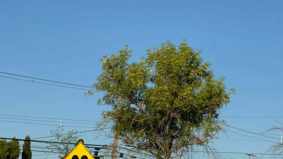 Emite Protección Civil alerta por altas temperaturas este sábado