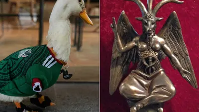 Familia del Pato Merlín genera polémica por altar ocultista en su hogar