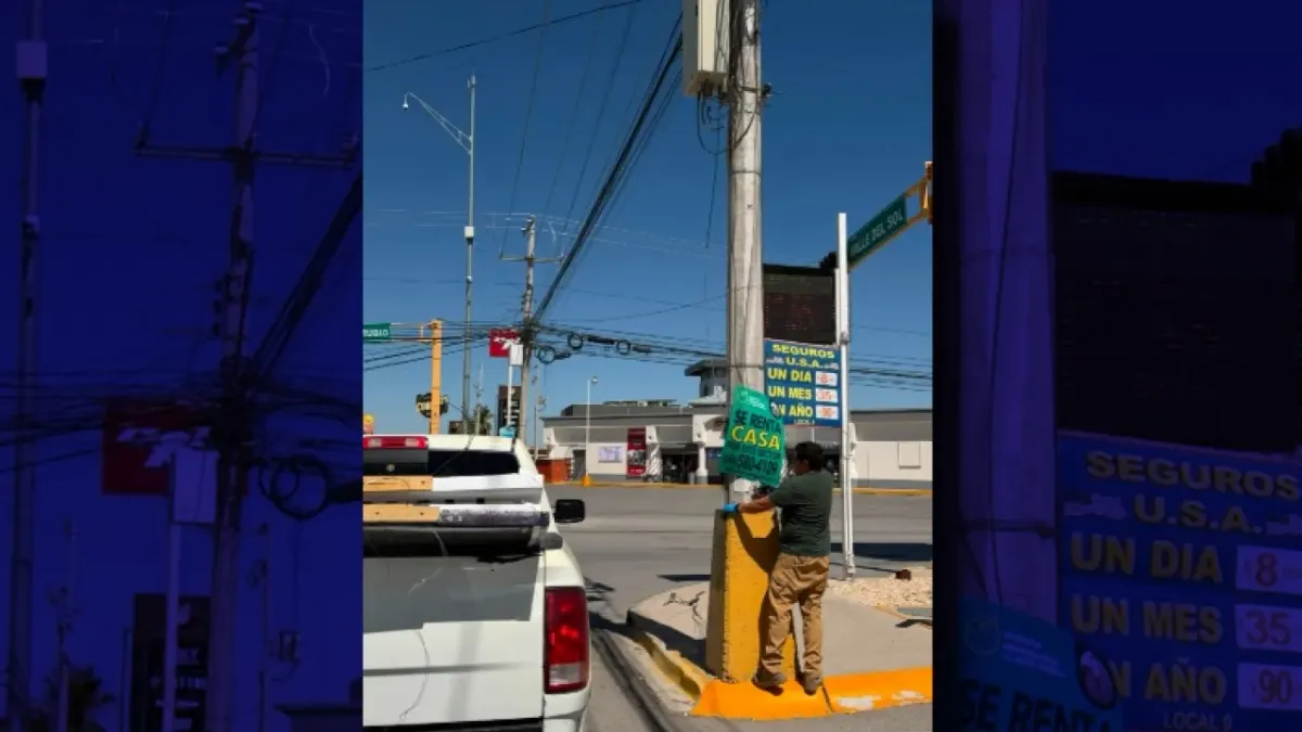 Retira Ecología 200 pendones de publicidad ilegal en postes de Valle de Sol
