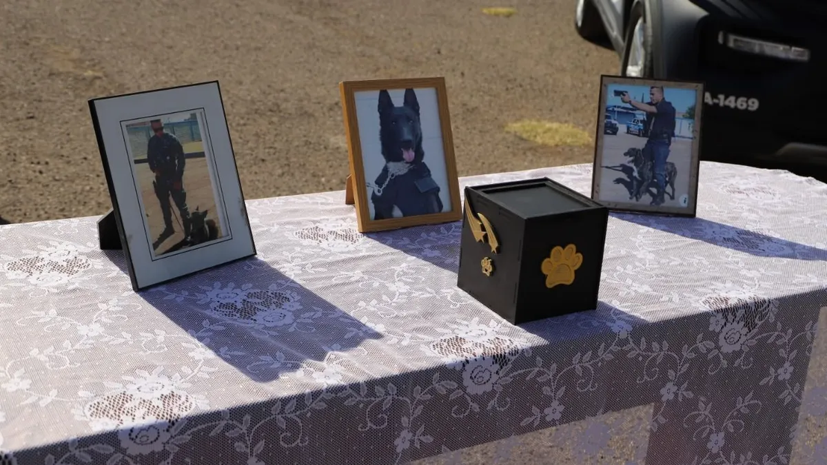 Despiden con homenaje a Jack, perro policía de Chihuahua 