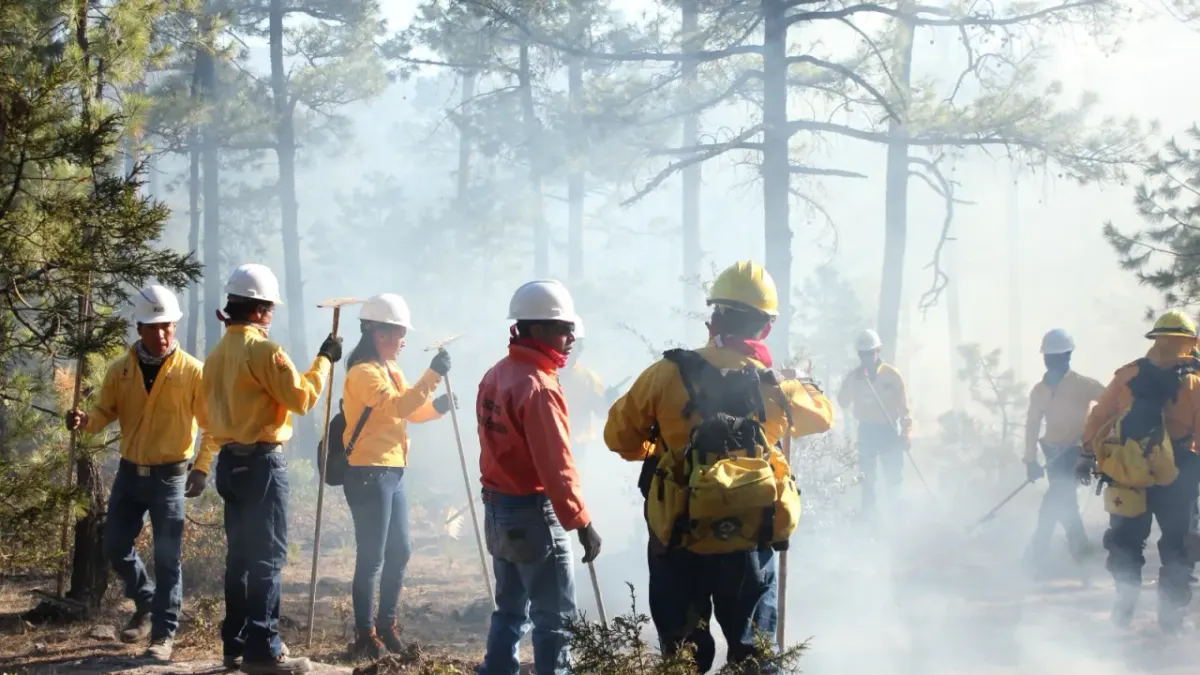 Suma Chihuahua 184 incendios forestales controlados en lo que va de 2026
