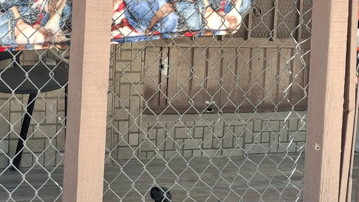 Balean vivienda mientras familia convivía afuera de su casa en la Insurgentes