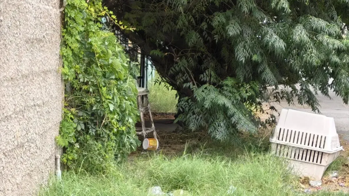 Hallan sin vida a mujer en vivienda de la colonia Hidalgo