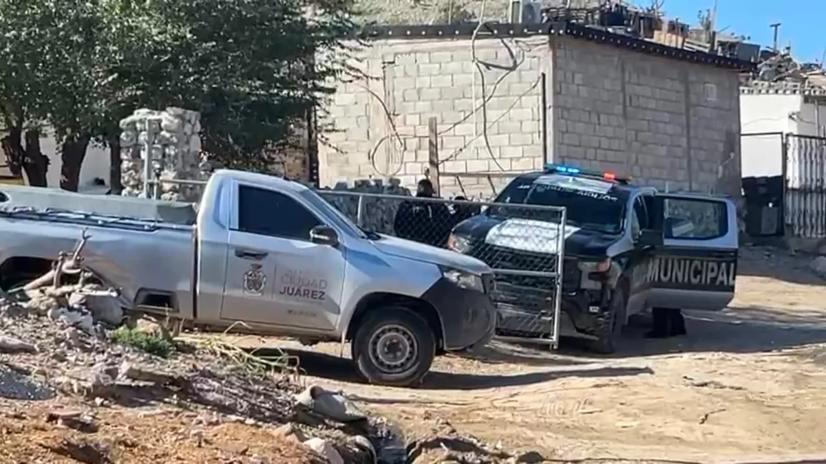 Vecino dispara contra perro tras ataque a sus gallinas en Puerto La Paz