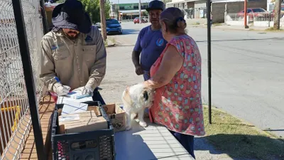 Instalan módulos de vacunación antirrábica gratis en cuatro colonias