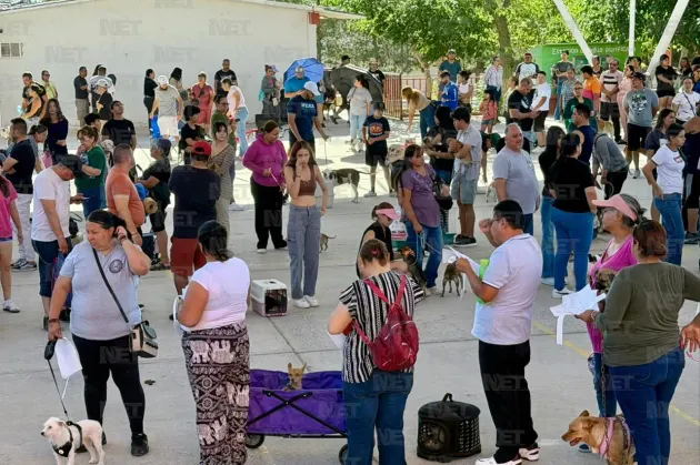 Esterilizan gratis a mascotas en escuela de Infonavit Juárez Nuevo