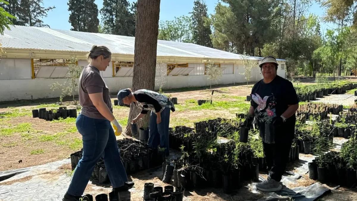 Apoyan voluntarios labores de reforestación en el Vivero Municipal
