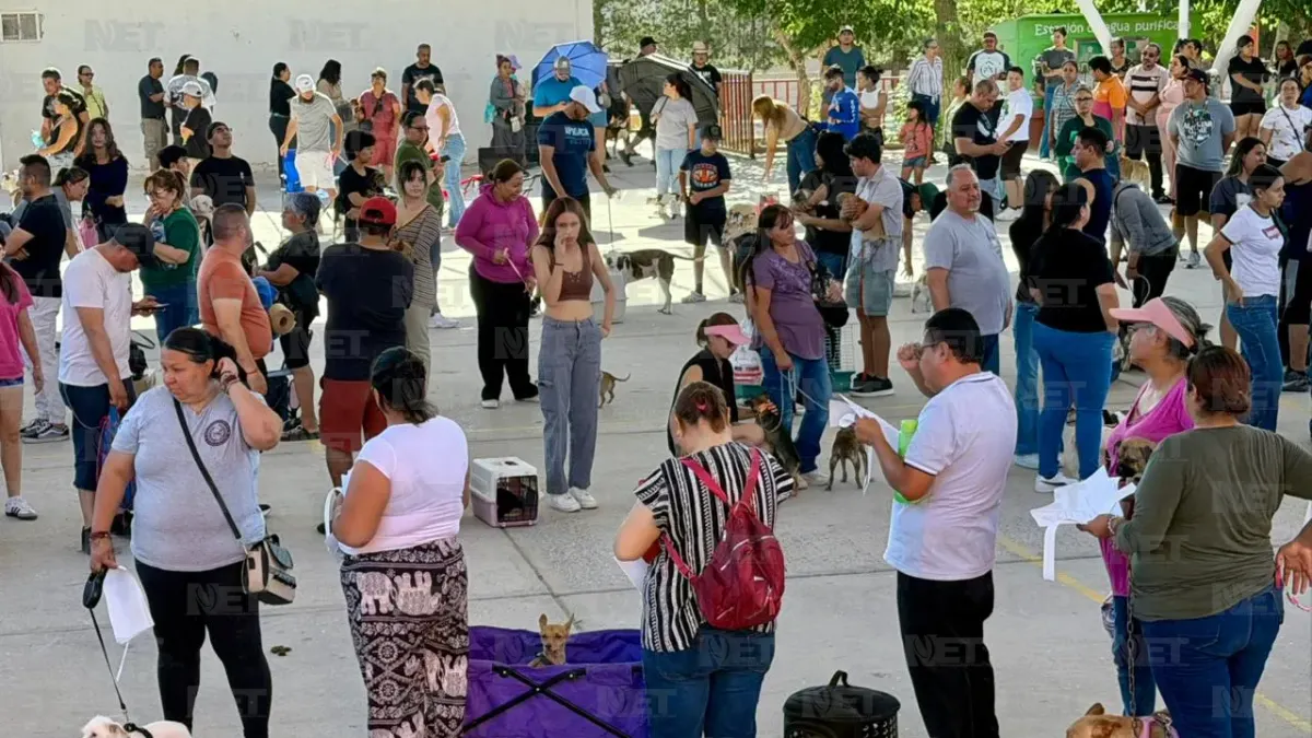 Esterilizan gratis a mascotas en escuela de Infonavit Juárez Nuevo