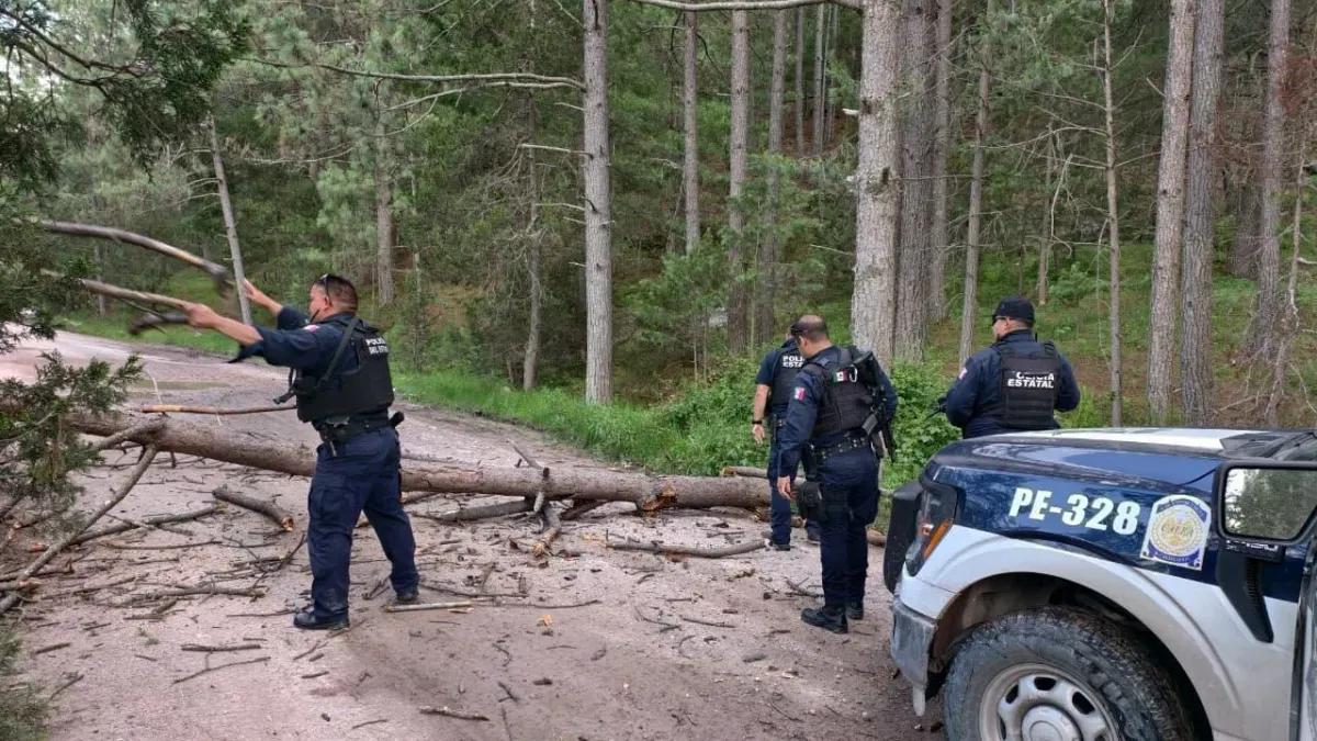 Refuerza SSPE vigilancia en Guadalupe y Calvo tras hechos violentos