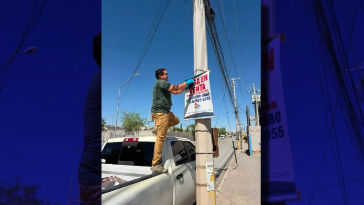 Retira Ecología 200 pendones de publicidad ilegal en postes de Valle de Sol