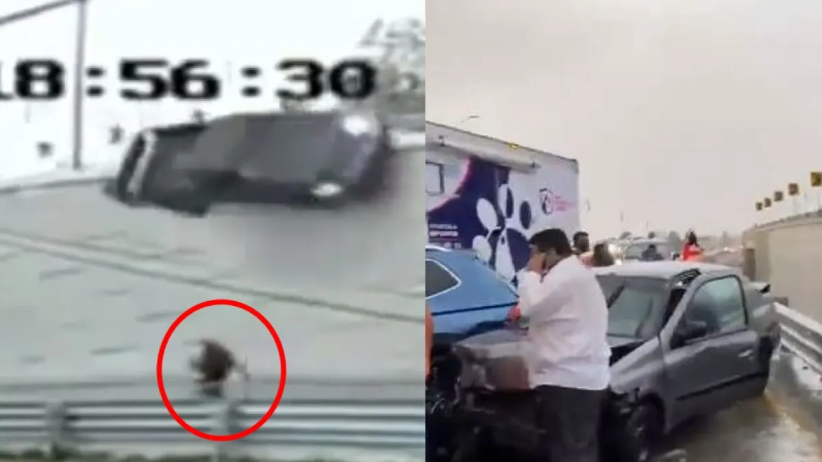 Video: Camioneta cae de puente y casi aplasta a peatón
