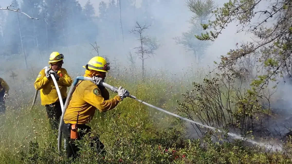 Cae superficie afectada por incendios forestales 94% en Chihuahua