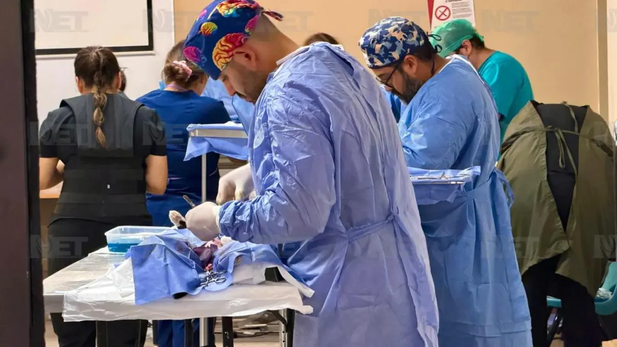 Realiza DABA campaña gratuita de esterilización en Ciudad Juárez
