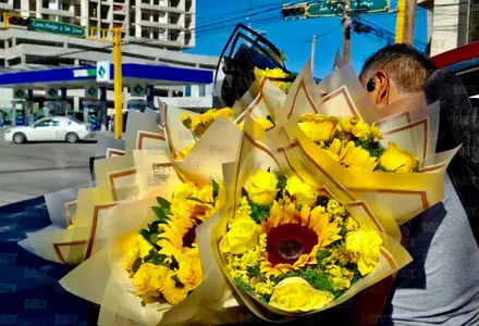 Flores amarillas llenan los cruceros de Juárez por tendencia viral