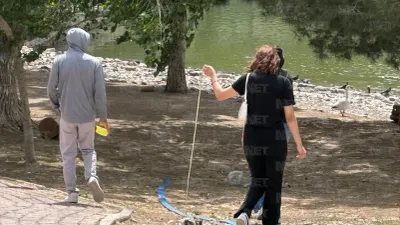 Refuerzan reglas para ingreso de mascotas en el Parque Central