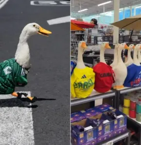 Fiebre del pato Merlín llegó hasta Canadá; venden figuras con jersey