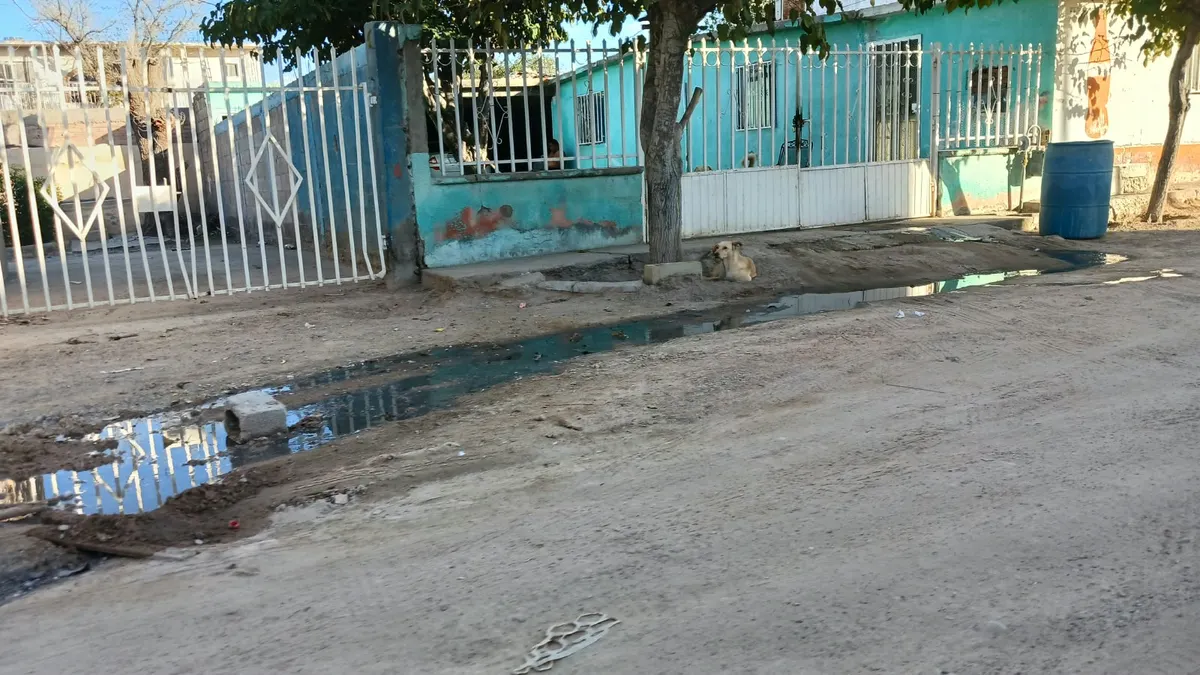 Denuncian vecinos de la Campestre Virreyes fuga de aguas negras