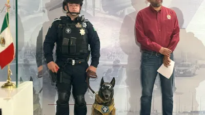 Reconoce SSPM labor de agentes K9 en decomisos de droga en Juárez