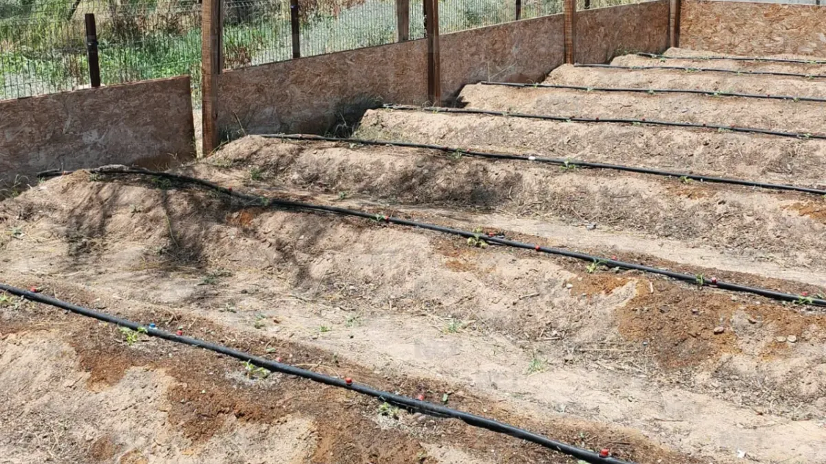 Ofrece Parque Central cursos gratuitos de huertos urbanos
