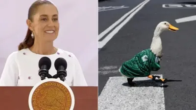 El Pato Merlín conquista a Sheinbaum; analiza invitarlo a Palacio Nacional