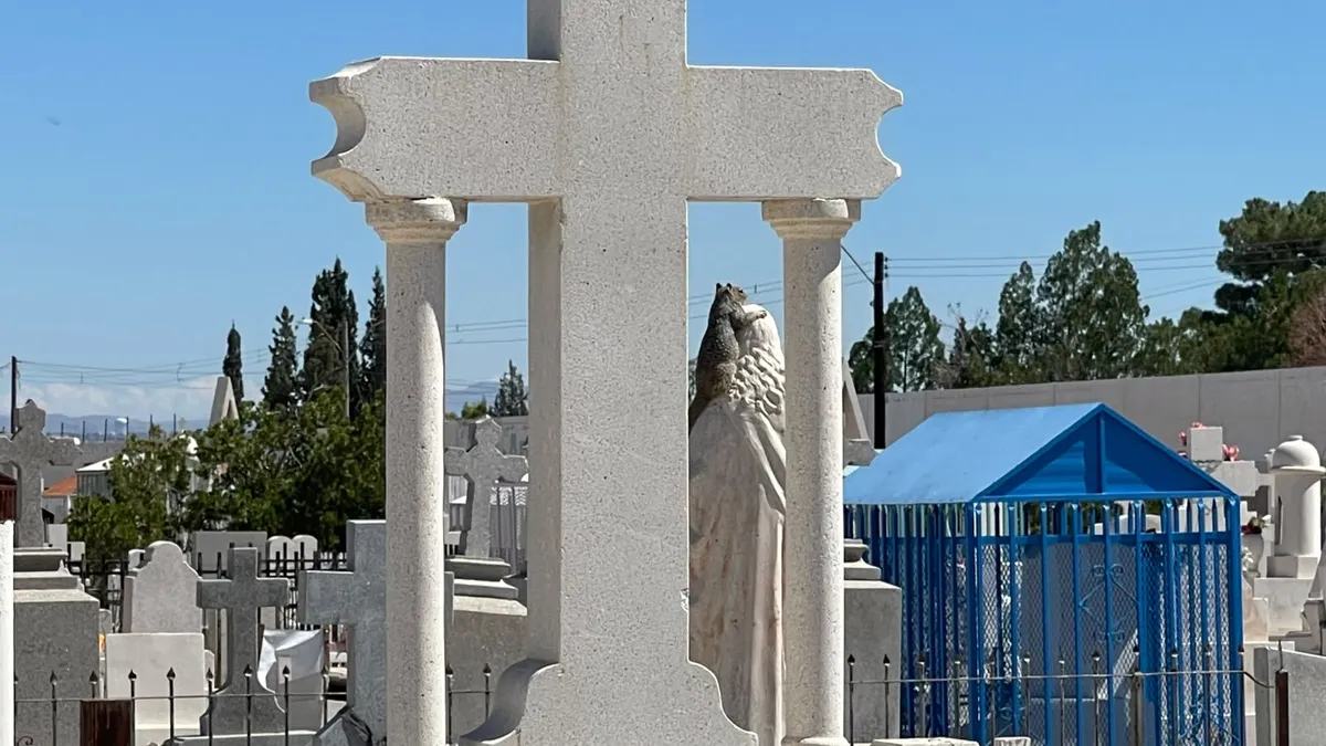 Hallan cráneo y restos óseos dentro de una bolsa en panteón Tepeyac