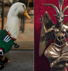 Familia del Pato Merlín genera polémica por altar ocultista en su hogar