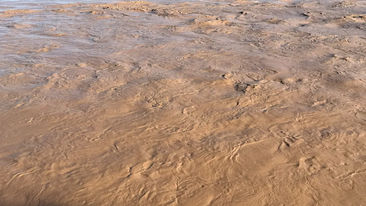 Mantienen vigilancia en el río Bravo por fuerte corriente e inundaciones
